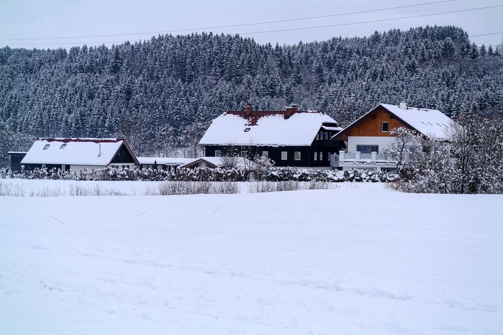 Tischlmuehle Appartements & Mehr Grobming Exteriér fotografie